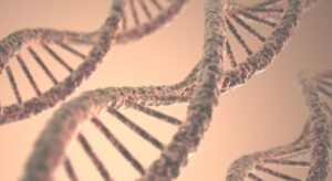 ADN y prueba de paternidad